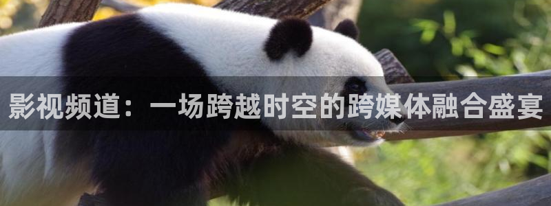 驰策影视首页
