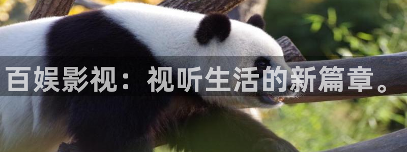 驰策影视首页
