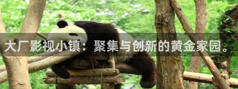 人民的名义驰策影院