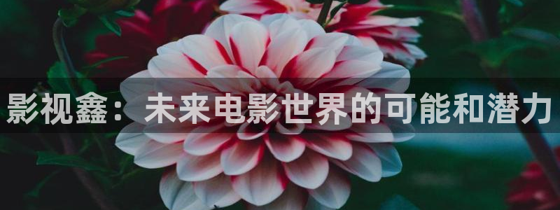 免费电影驰策