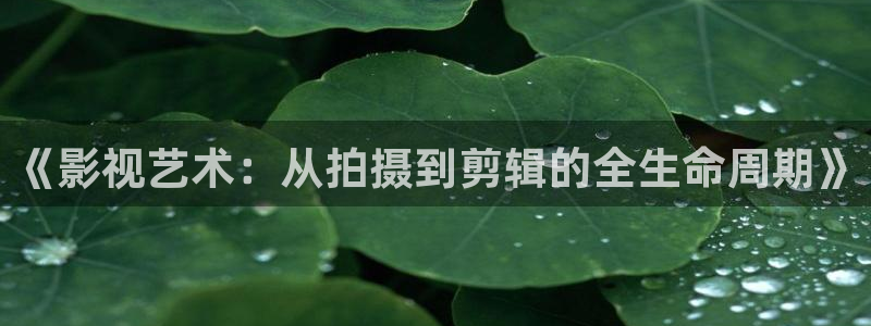 驰策影院在线
