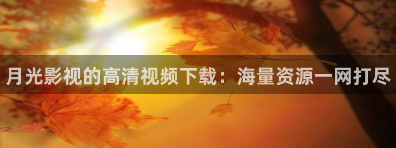 驰策驰影院理论