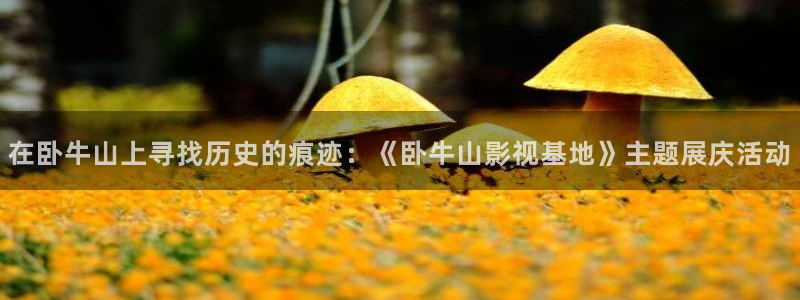 免费电影驰策