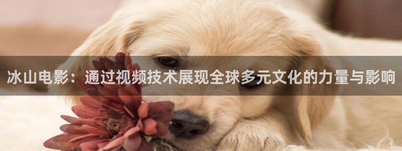 驰策影院