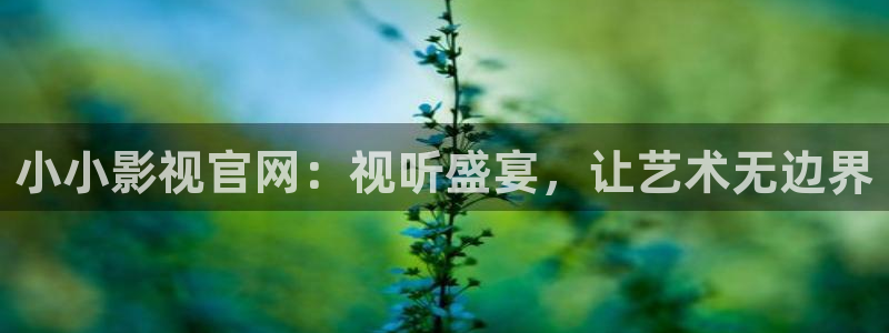 驰策影院在线观看电视剧