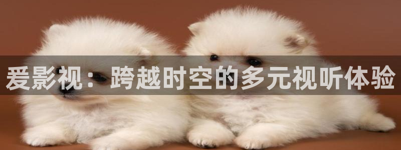 驰策驰影院 电视剧